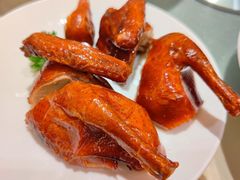 鸽子-海逸海鲜酒家(古北店)