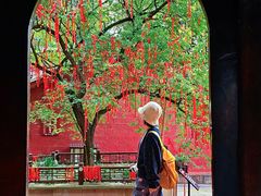 -七曲山风景区
