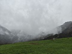 -硗碛藏寨·神木垒景区