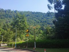 景点-火炉山森林公园