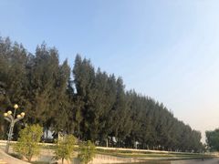 -宝安西湾红树林湿地公园