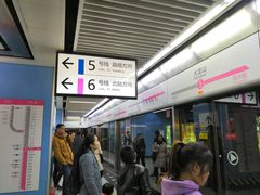 -大龙山(地铁站)