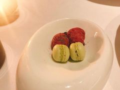 -蝶舍·MAISON PAPILLON