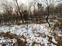 -阳台山自然风景区