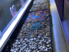 -聚盛源蒸汽海鲜火锅烤肉自助(巨川金海岸购物广场店)