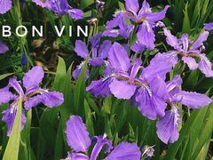 景点-南海子公园