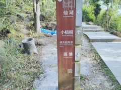 -梧桐山风景名胜区