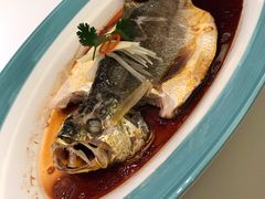 清蒸白鱼-满满海佛跳墙(千禧店)