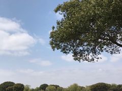 -旭宝高尔夫俱乐部