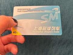 -龙阳路磁悬浮列车总站-停车场