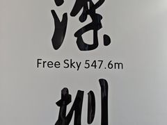 -平安金融中心云际观光层