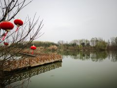 -桤木河湿地公园