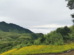 -江南天池