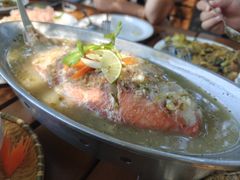 -Fern Forest Cafe