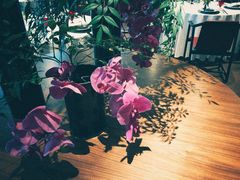 -三号黄浦会Canton Table