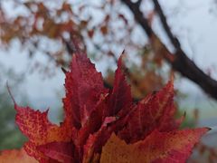 -北京雁栖湖国际会展中心
