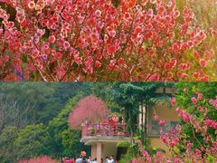 -桃花涧