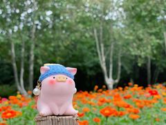 -钟山体育运动公园