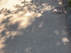 -常寂光寺
