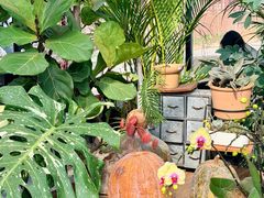 -北马山庄植趣咖啡