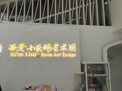 -西安小天鹅艺术团(曲江Alice店)