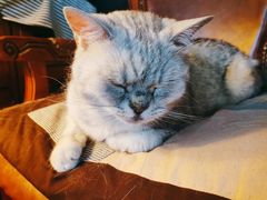 -不舍昼夜咖啡馆
