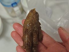 -老苗炸鸡(天下汇国际购物中心店)