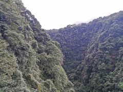 景点-碧峰峡风景区