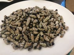 煮吸螺-瑞杰烧烤店·24小时营业(山东路店)