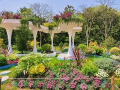 -上海共青森林公园