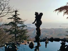 -信号山公园