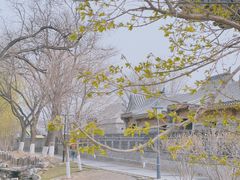 -三里河公园