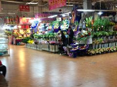 -大自然花鸟鱼虫市场