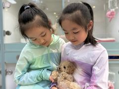 -萌宠之家·腊肠犬·马尔泰·小体犬舍