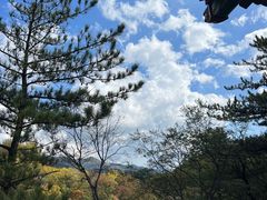 -玉渡山自然风景区