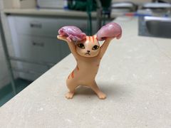 -动物缘宠物医院·骨科·猫科(西二环店)