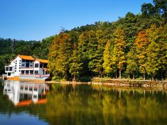 -深圳仙湖植物园