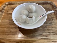 -海丝金凤(金鱼店)