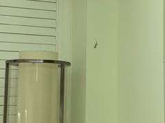 -三亚海棠湾万丽度假酒店