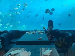 -瑞德姆美人鱼海底演艺主题餐厅(亚龙湾店)