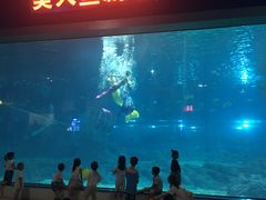 -福州罗源湾海洋世界旅游区