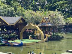 -西双版纳原始森林公园