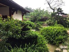 -铁山坪森林公园