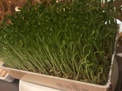 -七欣天香辣蟹火锅(苏州相城VIP总店)