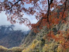 -叠溪松坪沟景区