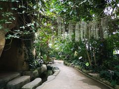 -南山植物园