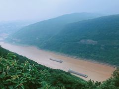 -铁山坪森林公园