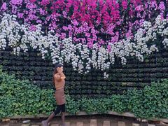 -石家庄市植物园