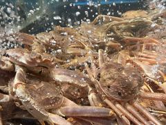 -徐记海鲜(大明宫|北二环店)
