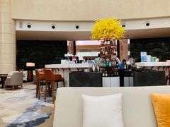 -Plush大堂酒廊(北京金融街威斯汀大酒店)